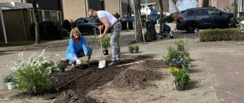 -nieuwsbericht- Ook de slingers hangen de bewoners zelf op