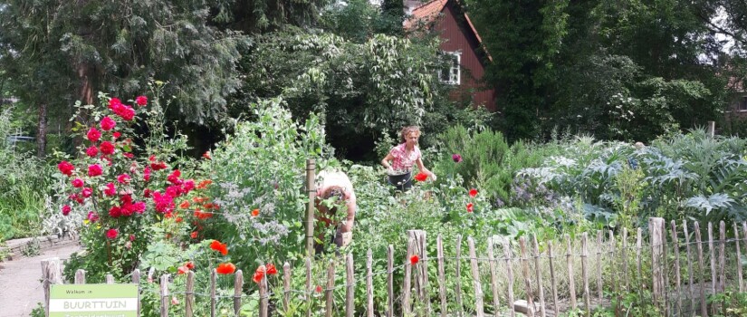 buurttuin_Zeeheldenbuurt