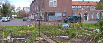 adoptietuin Simon van Slingelandtplein - foto_dd_29_april_2016