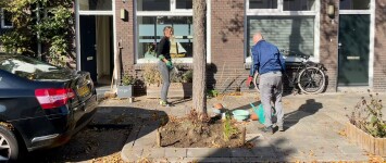 -Nieuwsbericht- Genieten van een groene straat