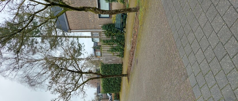 Slingerbeek3