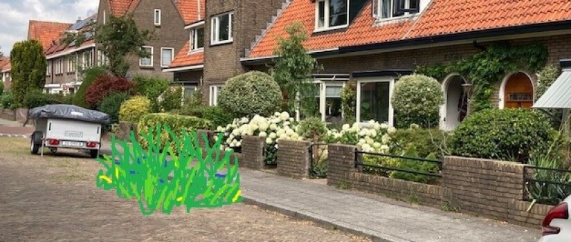 Bloem_bewerkt_(2)