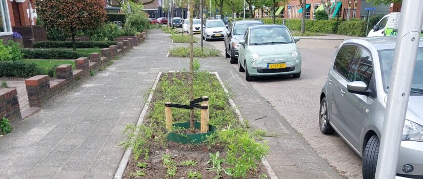 Herfterweg_foto_grijs_naar_groen