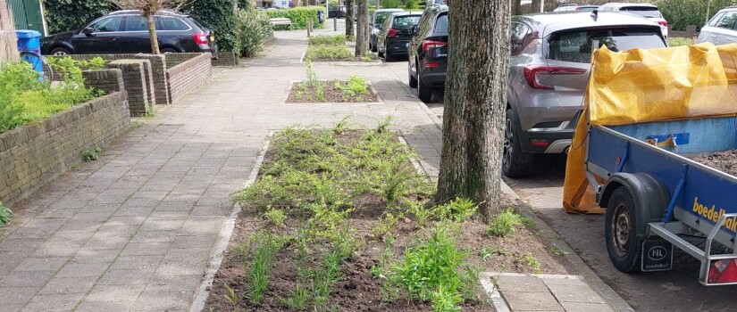 Herfterweg_foto_groenvak_boom