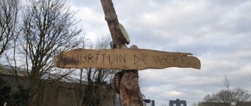 Samen de buurt schoner, groener en gezelliger maken 