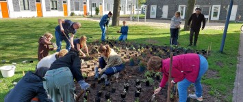 Bewoners maken veld Schumannlaan groener en sfeervoller 
