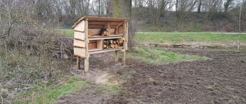 Insectenhotel_Ulgerkamp