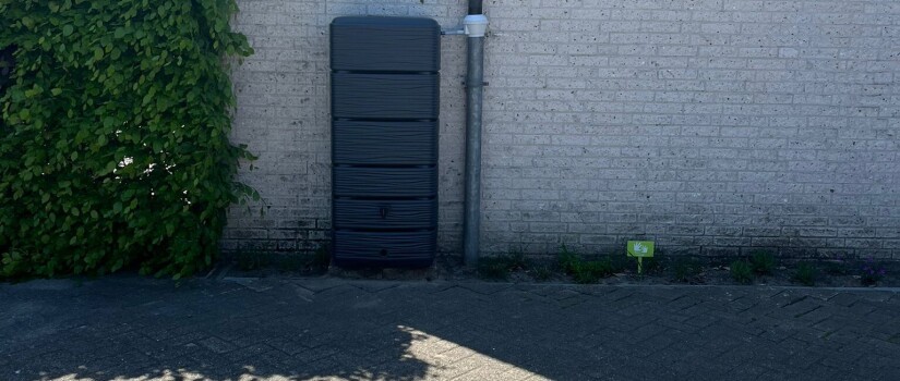 foto_plein_8