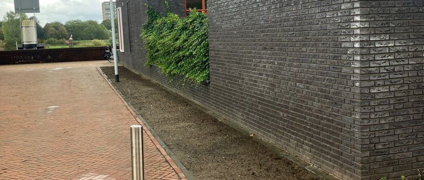 3._Adoptievak_Schansstraat_24_plantklaar