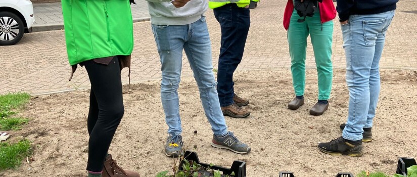 8._Beltenweg_Burendag_2025