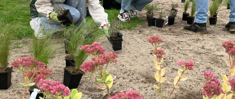 14._Beltenweg_Burendag_2025