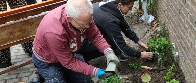 Marjoleinweg_-2-_Burendag_2025