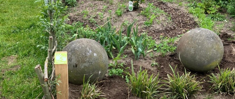 WhatsApp_Image_2025-06-30_at_13.38.14