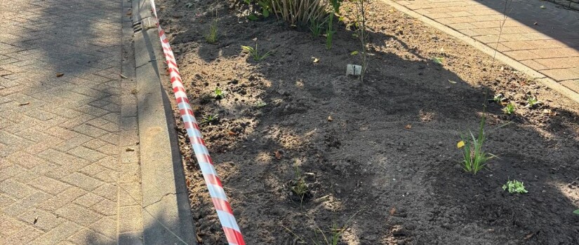 4._Voorbereidende_werkzaamheden_aannemer_Twistvlil_(5)