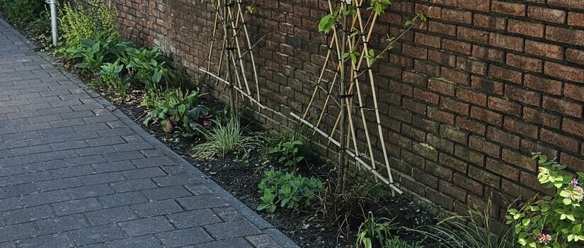 WhatsApp_Image_2025-04-28_at_13.40.45