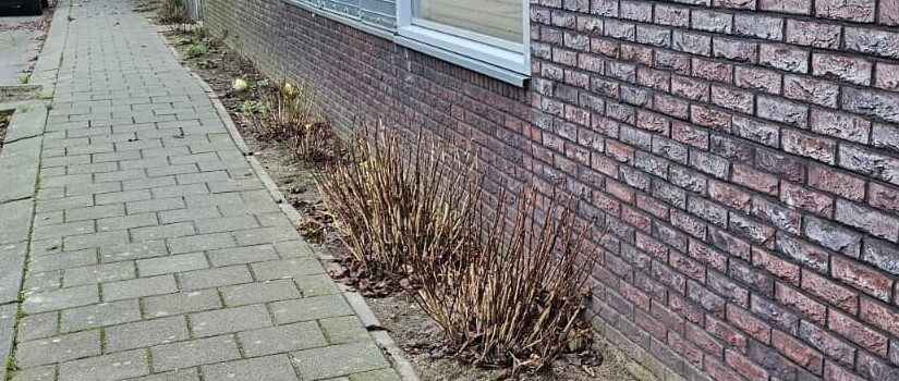 WhatsApp_Image_2025-12-22_at_14.13.41