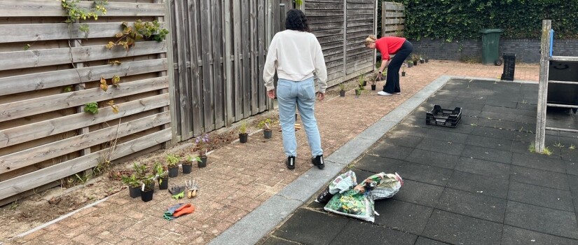 2._Adoptie_Fluweelmos_172,174_en_176_-_Burendag