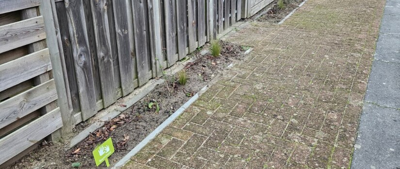 WhatsApp_Image_2025-12-22_at_14.19.12