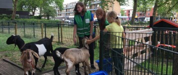 Ontmoeten, beleven en genieten in de nieuwe dierenweide Dieze Oost