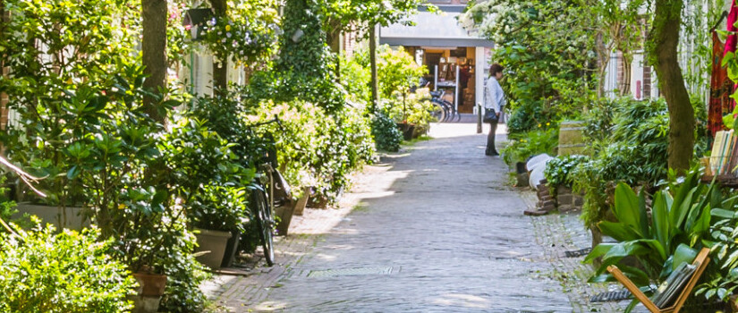 groene-straat-in-haarlem