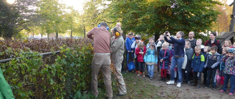 groen_plein_Michael_School_bachlaan