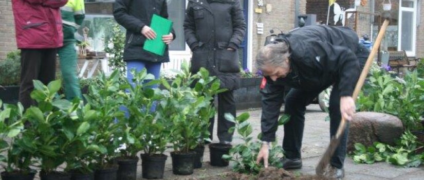 vivaldistraat_adoptie_groen