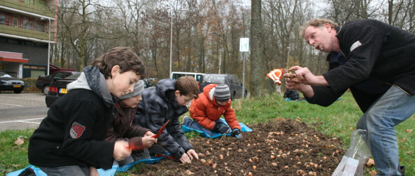 bloembollenactie